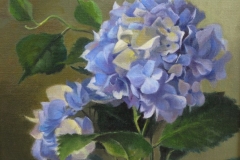 blue_hydrangeas
