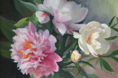 peony_profusion
