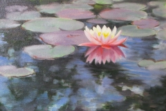 water_lillies_img_2027